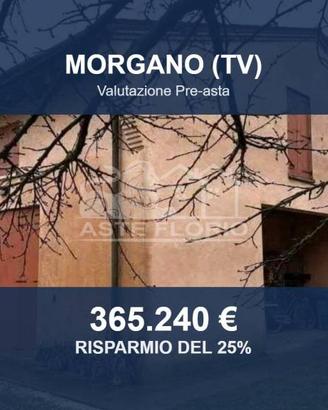 Immobile in asta di 40655 m² a Morgano