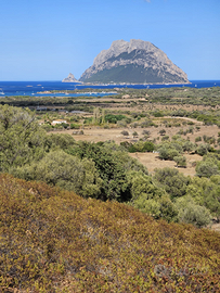 Terreni edificabili vista mare