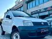 Fiat Panda Van 4X4 5 porte - ok neopatentato