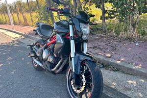 Benelli bn302