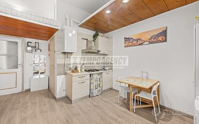 Ampio monolocale ristrutturato