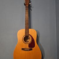 Chitarra acustica