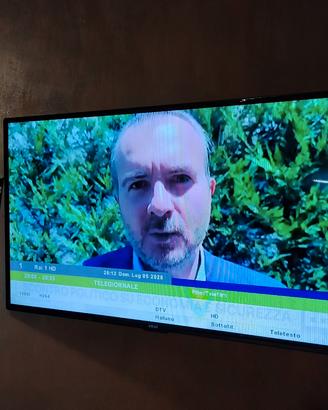 TV 43 pollici akai con braccio muro