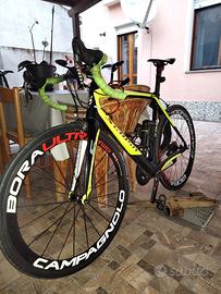 scapin carbon