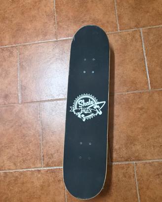 skateboard skate max