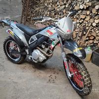 HM City 200-Locusta - 2011