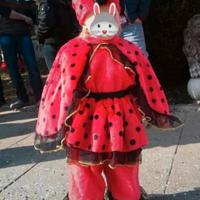 Costume di carnevale bambina 