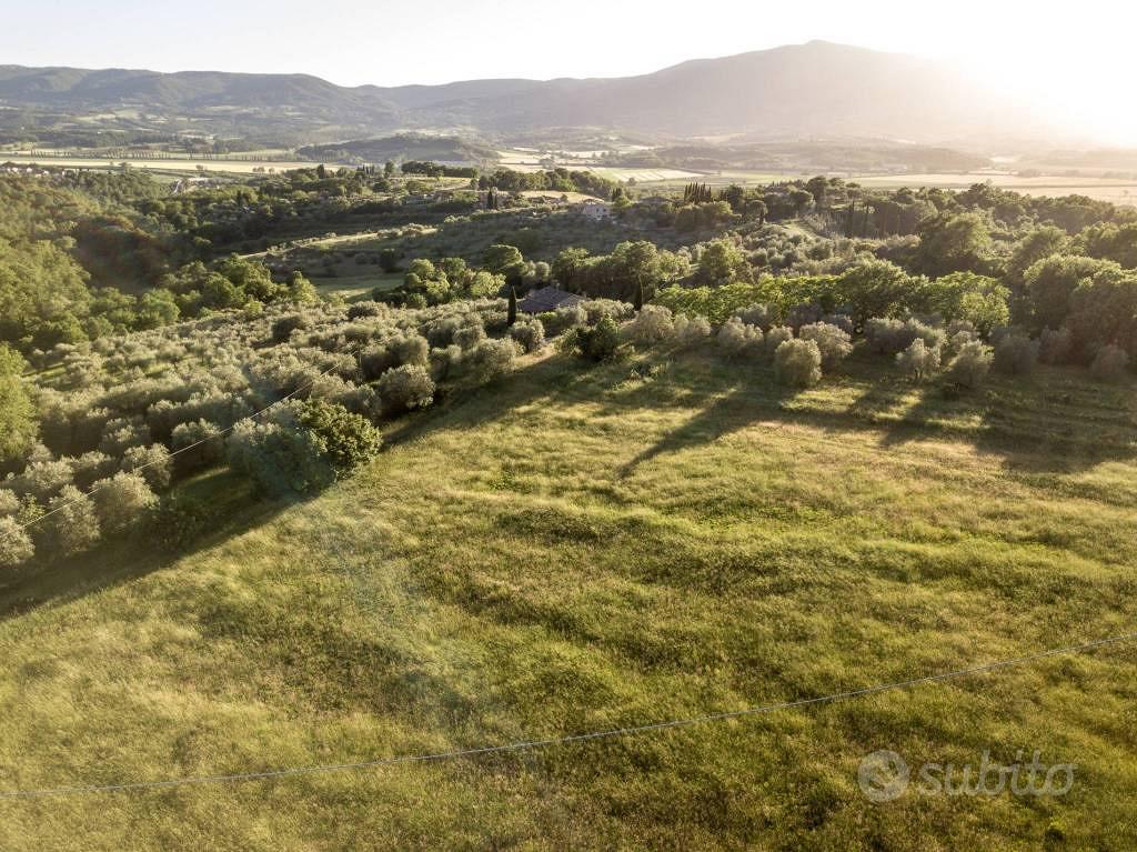 Terreno di 6920 m² a Città della Pieve - Altro