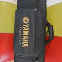 custodia per tromba 