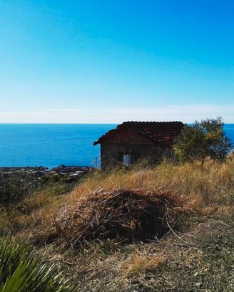 Terreno con progetto