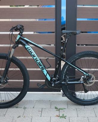 Mtb front 