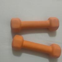 coppia pesi lineaflex da 1 kg