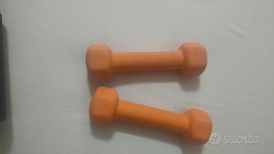 coppia pesi lineaflex da 1 kg