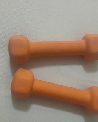 coppia pesi lineaflex da 1 kg