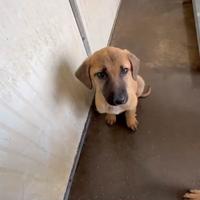 Sorelle taglia media