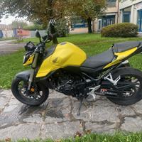 HONDA HORNET 750