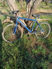 Due biciclette