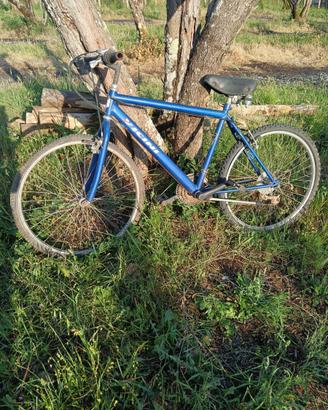 Due biciclette