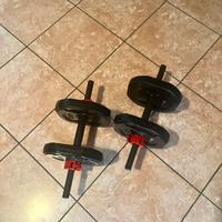 Dischi Sveltus + Manubri + Elastici