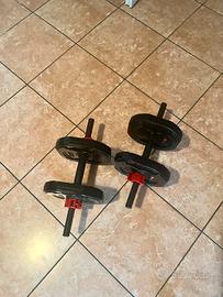 Dischi Sveltus + Manubri + Elastici