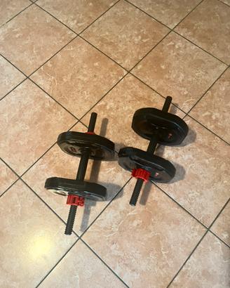 Dischi Sveltus + Manubri + Elastici