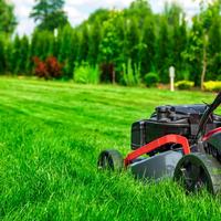 Lavori di giardinaggio