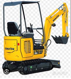 Piccoli lavori di escavazione