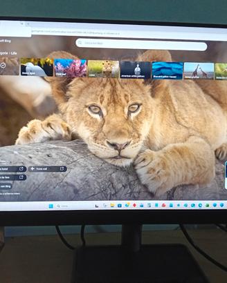 Monitor Lenovo L24i-30 FHD