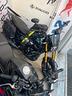 tvs-ronin-250