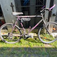 Bicicletta