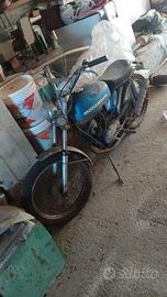 morini 50 scambler 