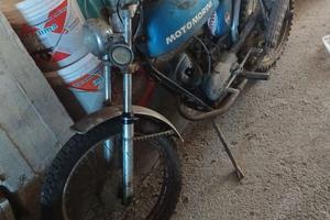morini 50 scambler 