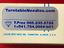 Immagine 6