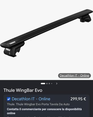 Portapacchi Thule - porta bici - porta sci 6 paia 