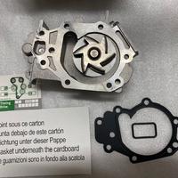 Pompa acqua originale INA 538038110 Renault/Dacia