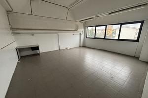 SIGNA Capannone con piazzale esclusivo