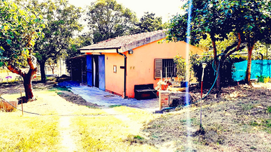 Annesso agricolo con terreno