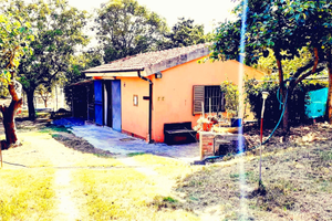 Annesso agricolo con terreno