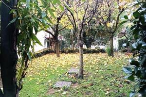 Villetta a schiera di 140 m² con 5 locali e box au