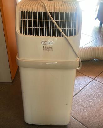 Pinguino de longhi
