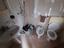 Immagine 25