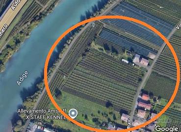 Vendita terreno agricolo a borgo sacco, rovereto