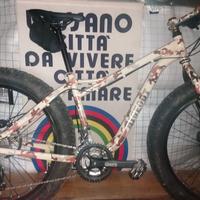 fat bike