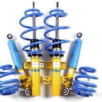 Rivenditori Assetti Bilstein Eibach H&R Molle