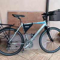 bici Bottecchia