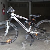 Bici ragazzo SCOTT Park