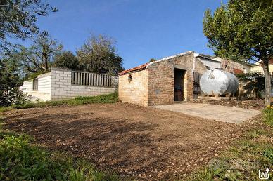 TER. AGRICOLO A SPOLTORE