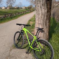 Mountain bike MTB bianchi