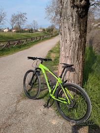 Mountain bike MTB bianchi