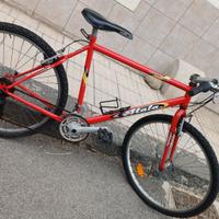 Bicicletta Mountain Bike 26